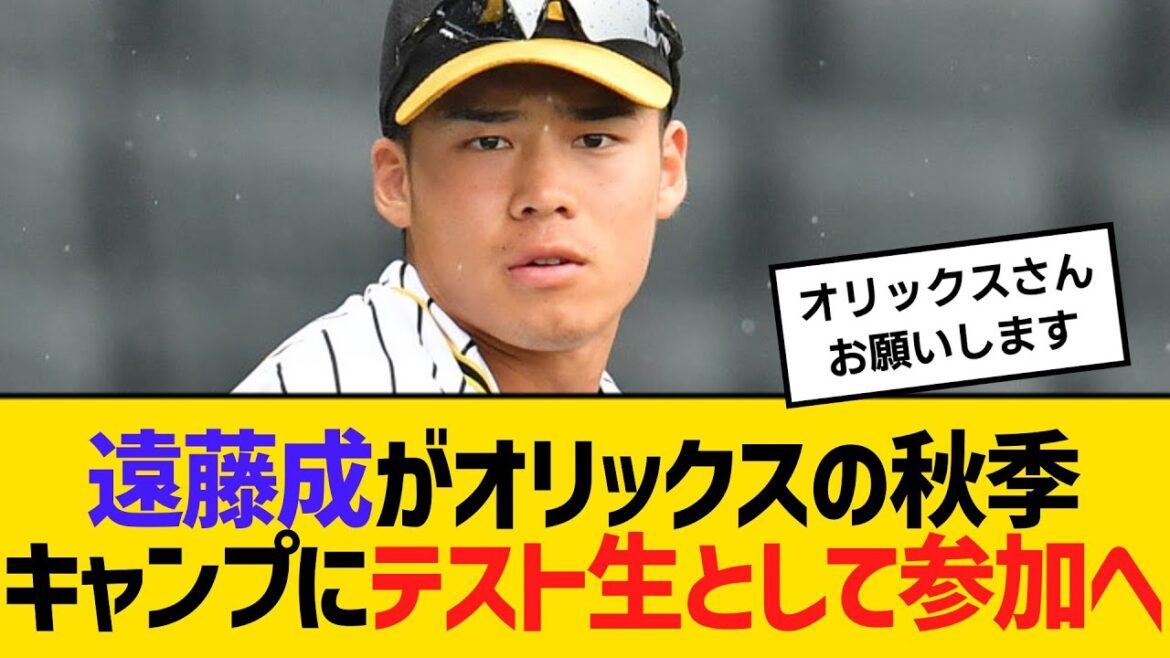 阪神戦力外の遠藤成が、オリックスの秋季キャンプにテスト生として参加へ　【ネットの反応】【反応集】