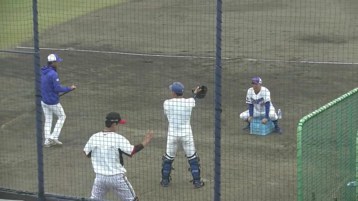 【中日ドラゴンズ ナゴヤ球場 秋季キャンプ 2024】日渡騰輝選手の地獄の下半身トレーニング 龍空選手ら内野3選手のノックの様子も 2024/11/10