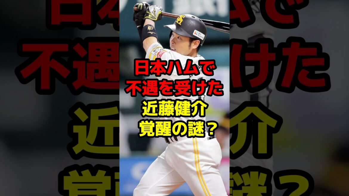 日本ハムで不遇を受けた近藤健介覚醒の謎？#shorts #野球 #プロ野球 #野球ネタ #近藤健介 #覚醒 #謎
