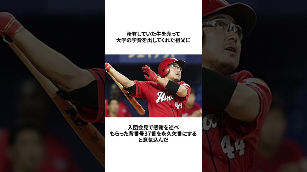 【鯉のベテラン】松山竜平選手に関する雑学＃プロ野球＃shorts＃雑学