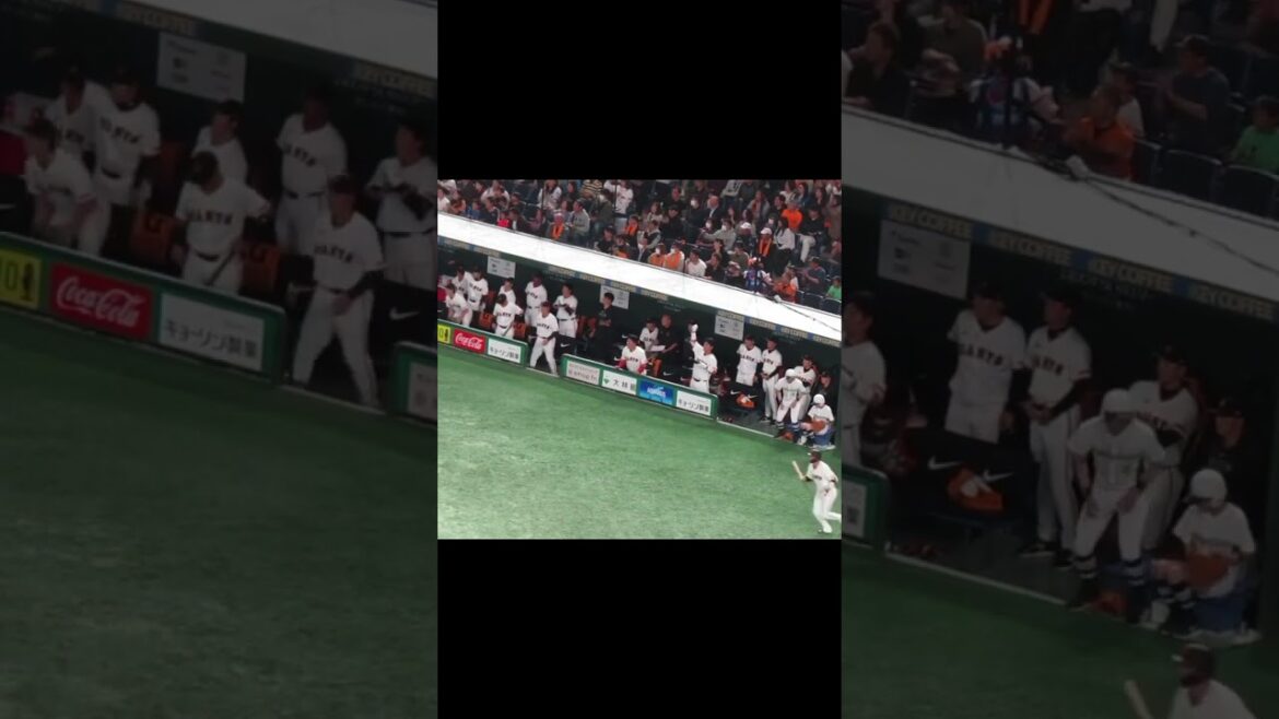 岡本和真に先制タイムリーヒットに喜ぶベンチの様子2024年4月6日 読売ジャイアンツ対 横浜DeNAベイスターズ #岡本和真