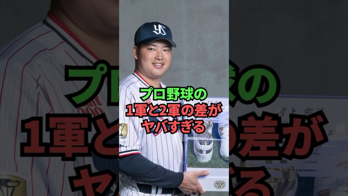 プロ野球の1軍と2軍の差がヤバすぎる...