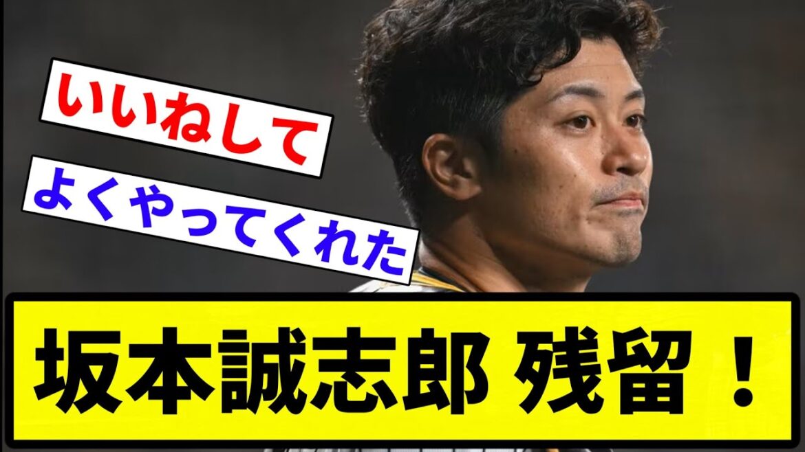 【FA】坂本誠志郎 残留！【プロ野球反応集】【1分動画】【プロ野球反応集】