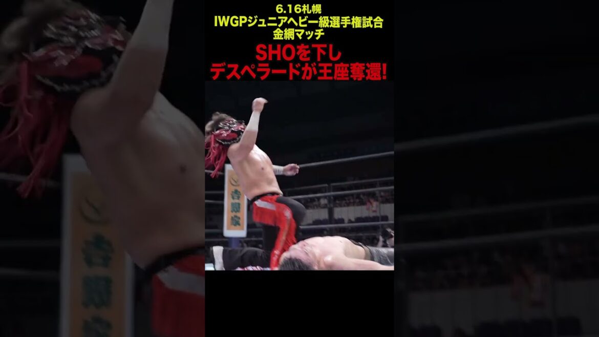 【新日本プロレス】SHOを下しデスペラードが王座奪還!  #shorts