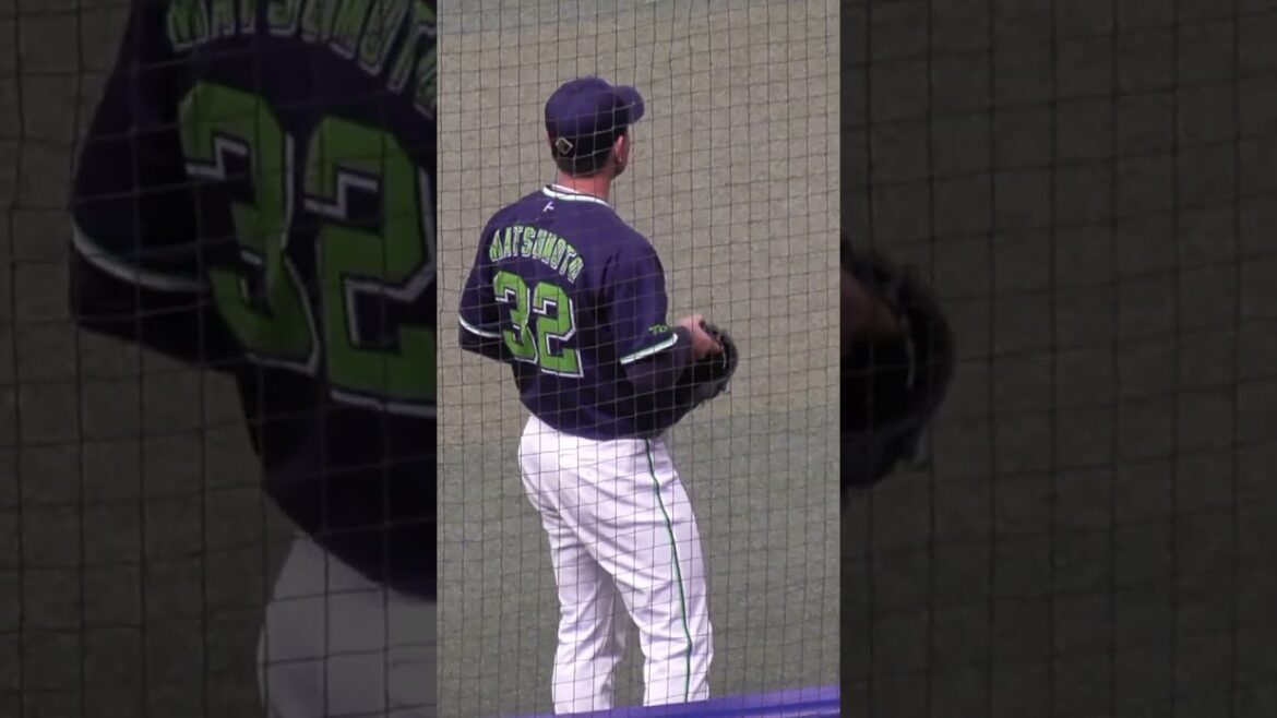 松本 直樹 捕手　'24シーズン キャリアアハイ出場　#東京ヤクルトスワローズ #shorts