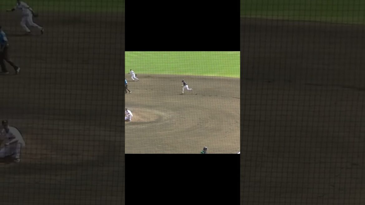 【タクゾーキャノン】大城卓三が盗塁を刺す（読売ジャイアンツ対 ヤクルトスワローズ2024年5月29日） #大城卓三