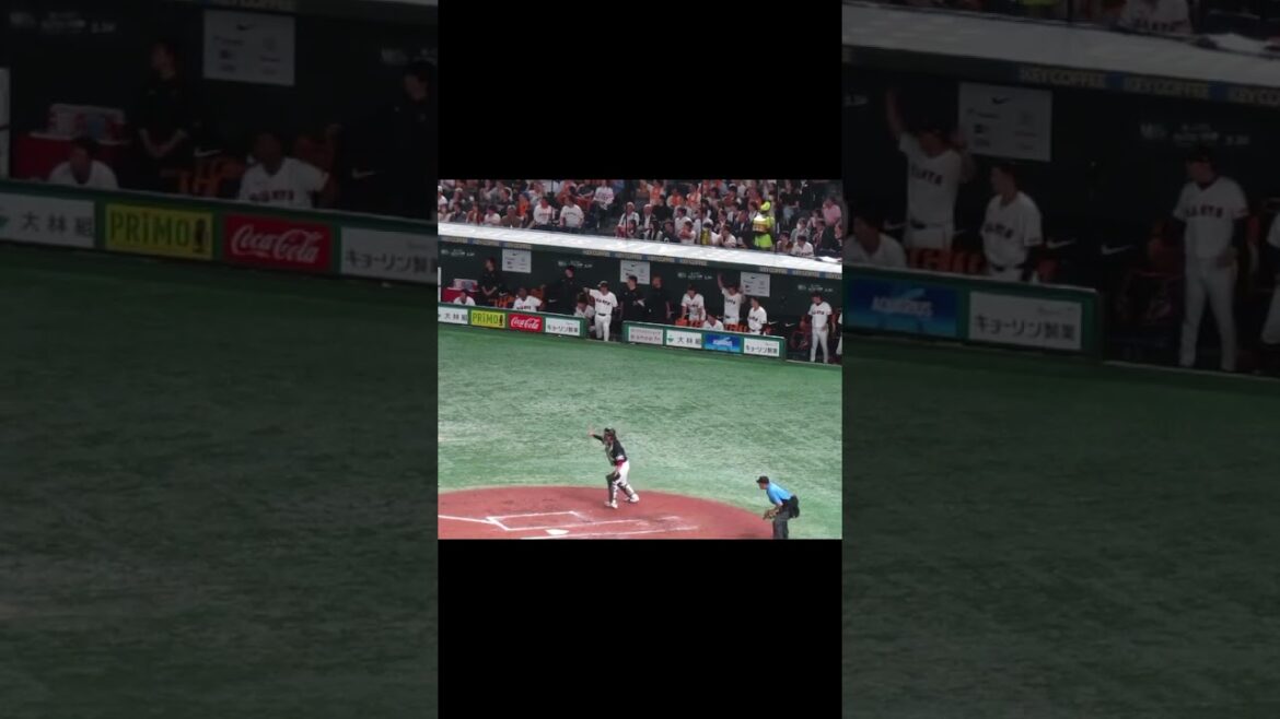 丸佳浩が内野安打で喜ぶベンチ（読売ジャイアンツ対 福岡ソフトバンクホークス2024年5月28日）　#丸佳浩 #ジャイアンツ動画