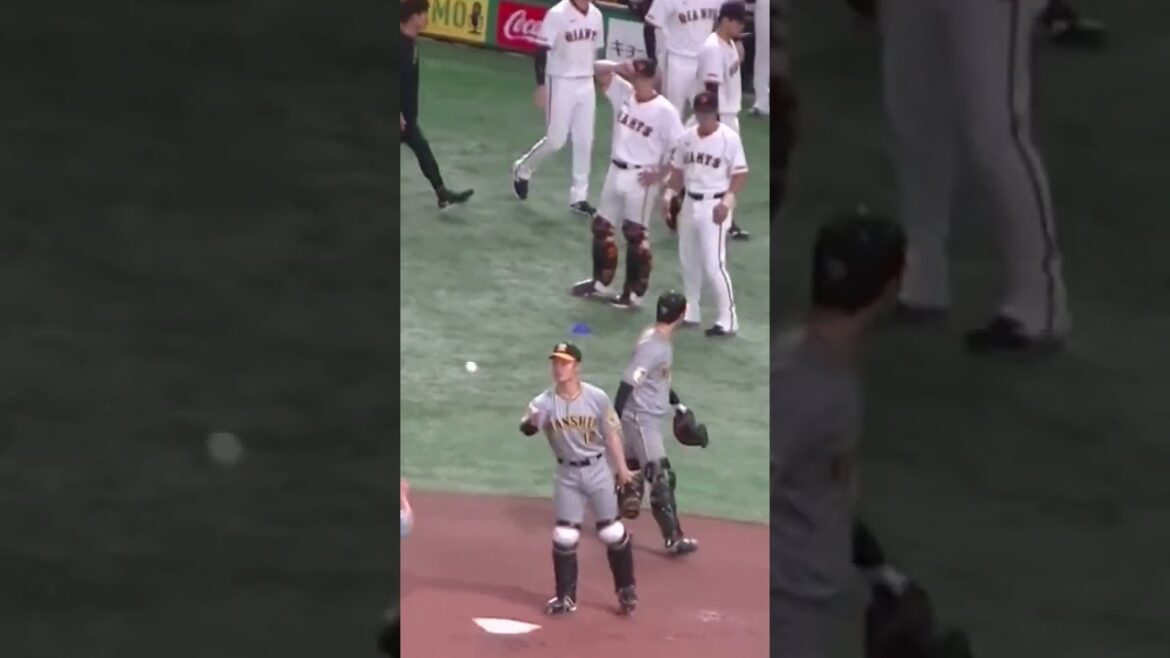 巨人練習開始 小林誠司が阪神 長坂拳弥とニッコリ【 読売ジャイアンツ対 阪神タイガース2024年3月30日】 #小林誠司