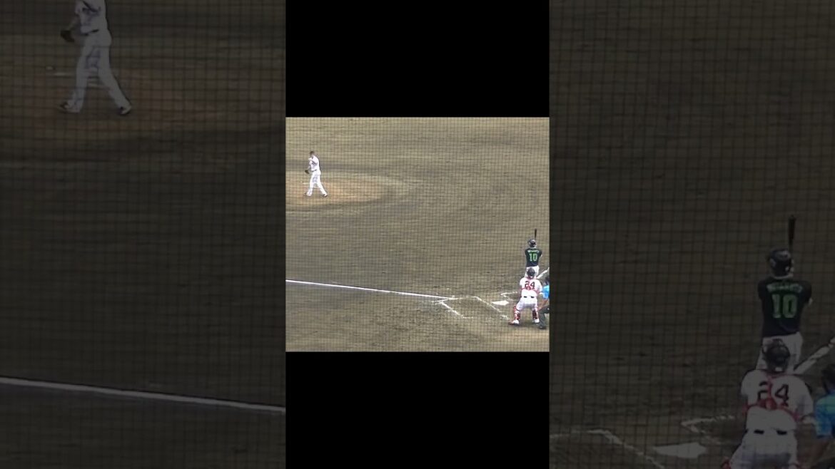 宮本丈を三振にとるグリフィン（読売ジャイアンツ対 ヤクルトスワローズ2024年5月29日） #グリフィン