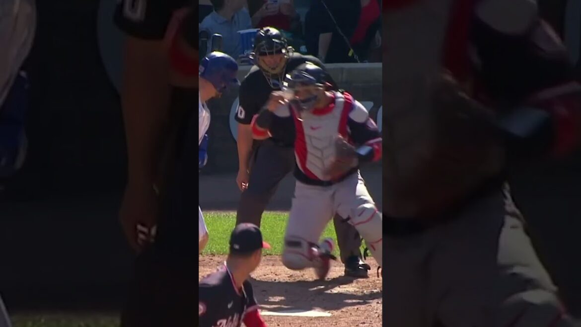 Now that's a WILD pitch!