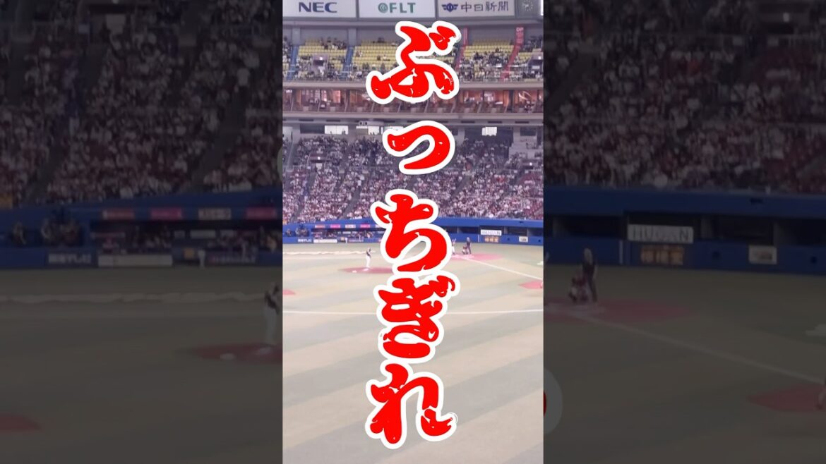 【スクワット】侍ジャパン小園選手の応援歌が楽しすぎたwww