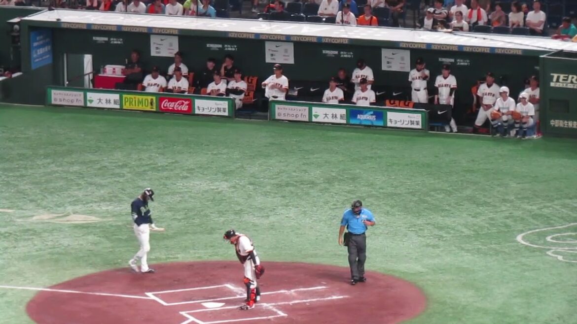 太田賢吾の打球を大城卓三がナイスキャッチした時などの巨人ベンチの様子＜読売ジャイアンツ 対 ヤクルトスワローズ2024年8月3日＞