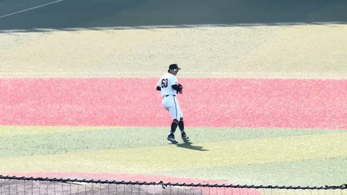 12球団合同トライアウト2024 シートノック 12球団合同トライアウト2024 シートノック