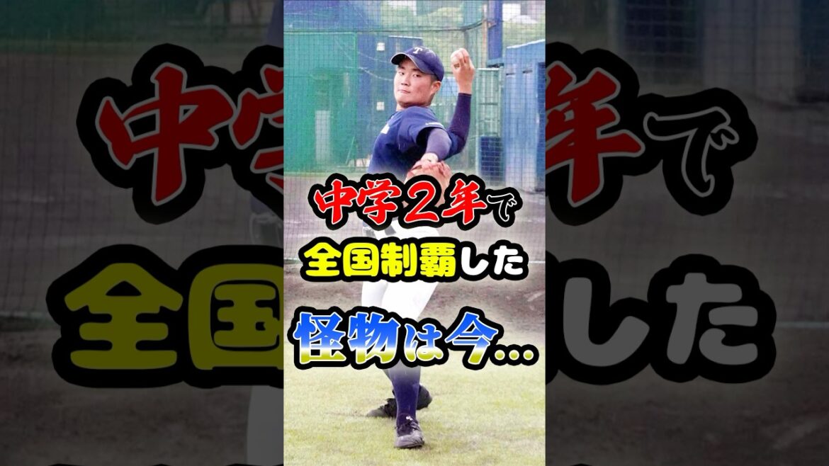 中学2年で全国制覇をした「怪物投手は今...」に関する雑学　#野球 #高校野球 #甲子園