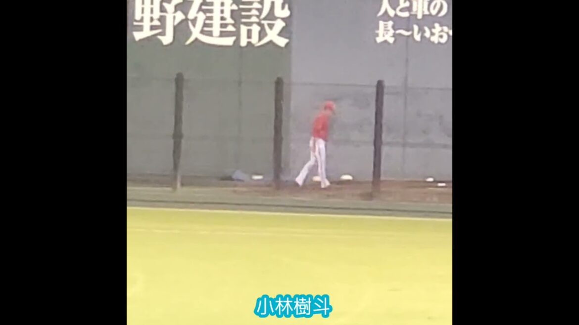 20240726　#小林樹斗　ﾌﾞﾙﾍﾟﾝで投球練習　広島東洋ｶｰﾌﾟ2軍　#shorts@岡山･倉敷ﾏｽｶｯﾄｽﾀｼﾞｱﾑ［ｳｴｽﾀﾝ･ﾘｰｸﾞ 2軍戦］外野ﾗｲﾄ