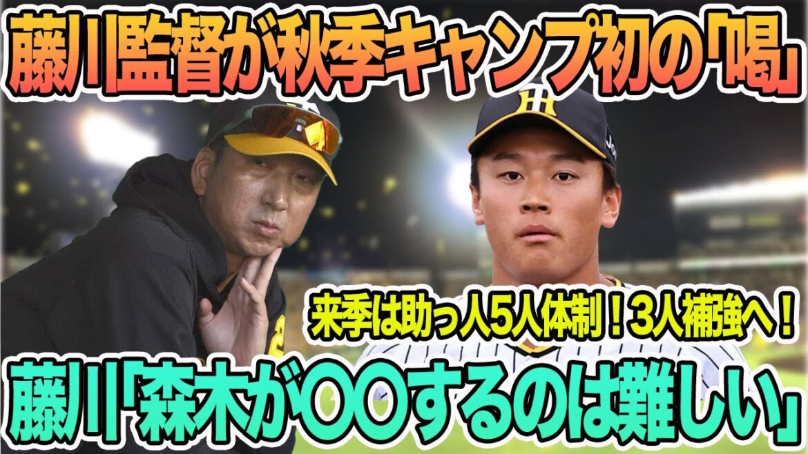 【藤川監督秋季キャンプ初の喝】阪神助っ人3人補強へ！　藤川「森木が〇〇するのは難しい」　森下が侍４番死守宣言　　阪神タイガース