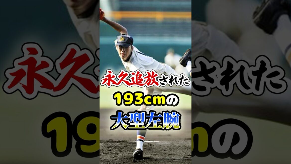 1軍登板なしで永久追放された「193cmのドラフト1位大型左腕」に関する雑学　#野球 #プロ野球