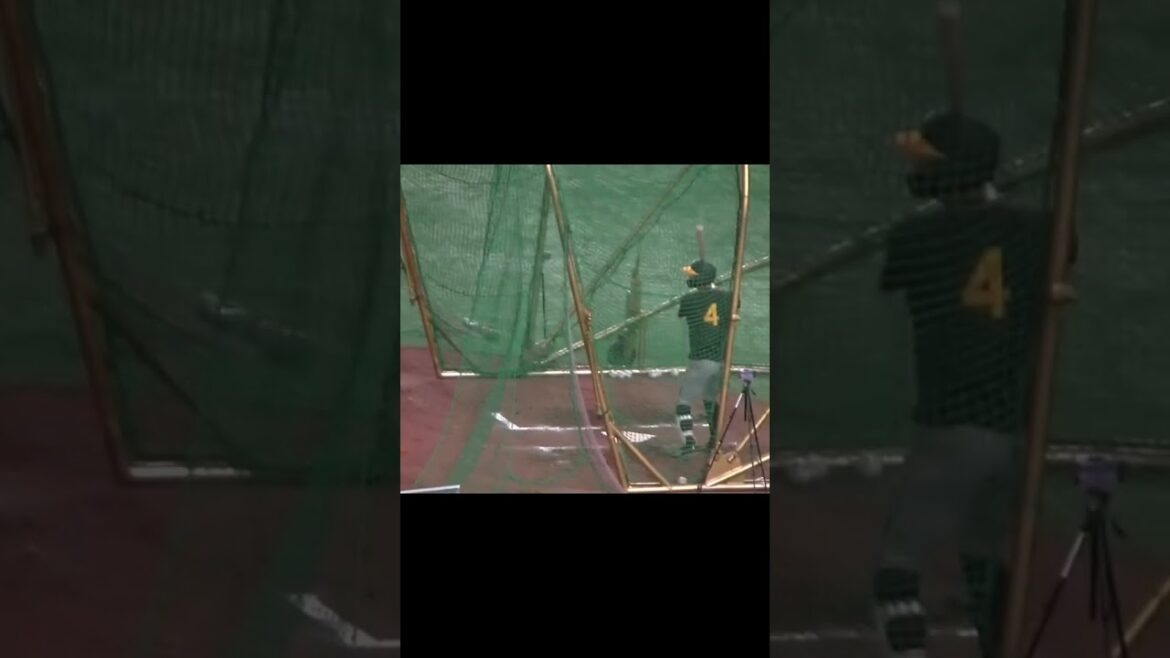 タイガース #熊谷敬宥 のフリーバッティング【 読売ジャイアンツ対 阪神タイガース2024年3月30日】