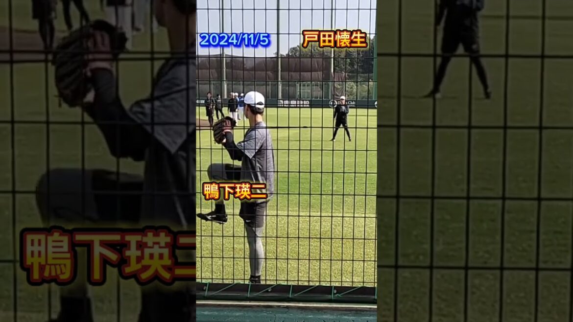 【GIANTS】 #戸田懐生 #鴨下瑛二 プロのキャッチボール #shorts #巨人 #ジャイアンツ