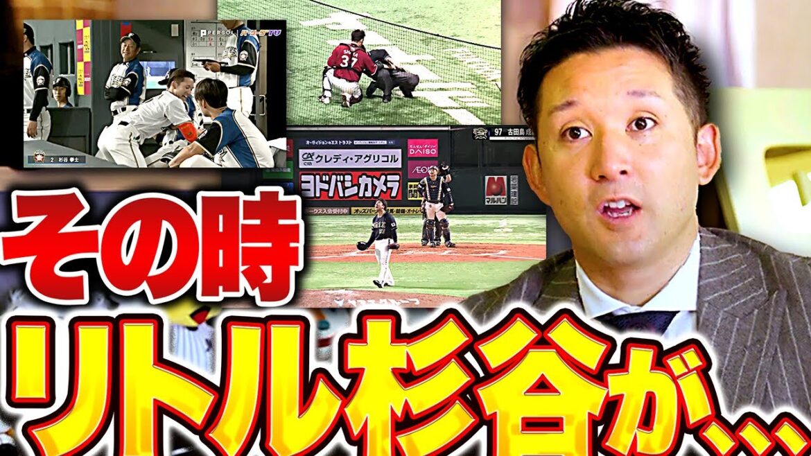 【パテレAWARDS 2024】杉谷拳士さん『MC就任！“パテレ殿堂入り男”が選ぶセルフアワード&イベント大展望インタビュー 』