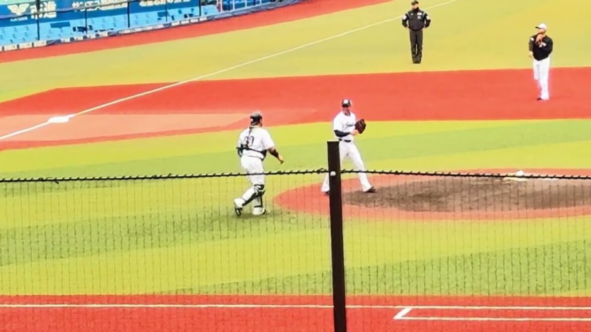 12球団合同トライアウト シート打撃『投手: 元ライオンズ・伊藤翔  打者: 元ロッテ・黒川凱星 & 元中日・三好大倫 』