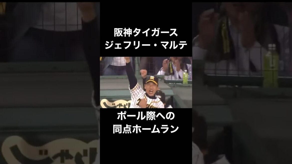 【変態】阪神タイガース マルテ ポール際への同点ホームラン #プロ野球 #阪神タイガース #shorts