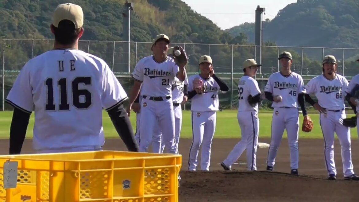 【プロ野球】2024.11.13　オリックス　秋季キャンプ　『牽制①』