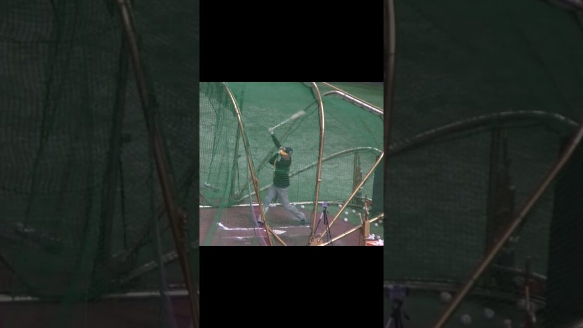 タイガース小幡竜平のフリーバッティング【 読売ジャイアンツ対 阪神タイガース2024年3月30日】 #小幡竜平