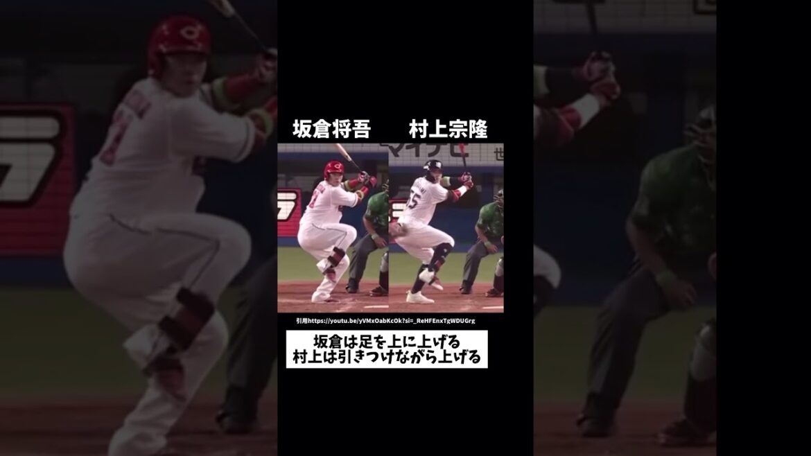 坂倉と村上のバッティングフォームの大きな違いとは？#プロ野球#広島東洋カープ #ヤクルトスワローズ #坂倉将吾 #村上宗隆#バッティングフォーム