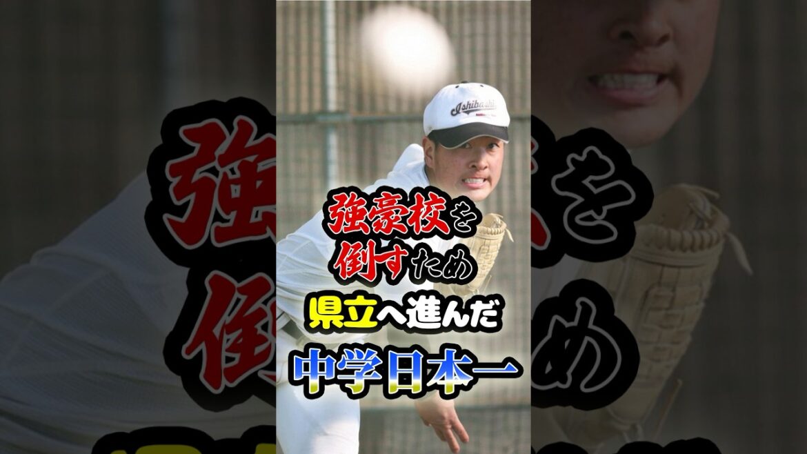 強豪校を倒すために県立校に進んだ「中学日本一の英雄」に関する雑学 #野球 #高校野球 #甲子園 強豪校を倒すために県立校に進んだ「中学日本一の英雄」に関する雑学 #野球 #高校野球 #甲子園