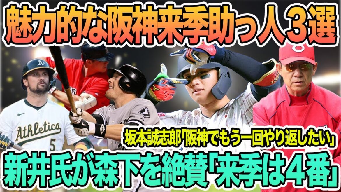 【魅力的な阪神来季助っ人候補3選】新井氏が森下を絶賛「来季は4番」 坂本誠志郎「阪神でもう一回やり返したい」 阪神タイガース 【魅力的な阪神来季助っ人候補3選】新井氏が森下を絶賛「来季は4番」 坂本誠志郎「阪神でもう一回やり返したい」 阪神タイガース