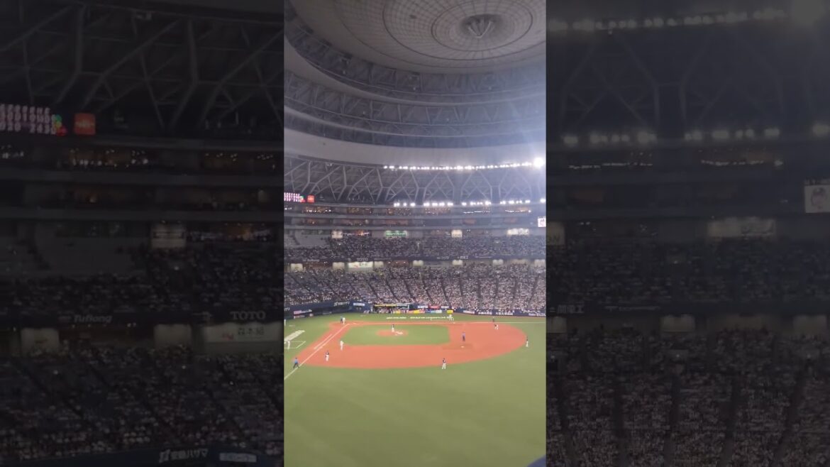 T-岡田現役最終打席特大ファールの瞬間#オリックスバファローズ #T-岡田 #応援歌