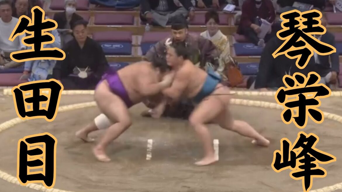 生田目（二子山部屋）VS琴栄峰 令和6年11月場1日目#sumo #相撲 #二子山部屋
