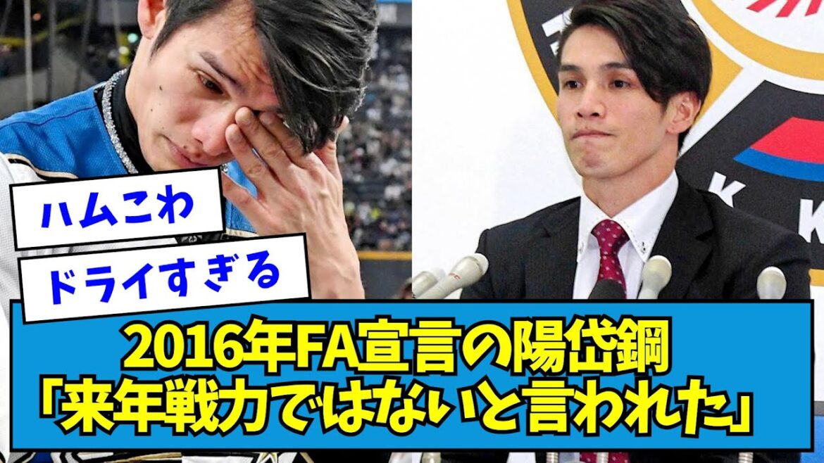 【ドライハム】2016年、FA宣言の陽岱鋼「来年戦力ではないと言われた」【なんJ反応】