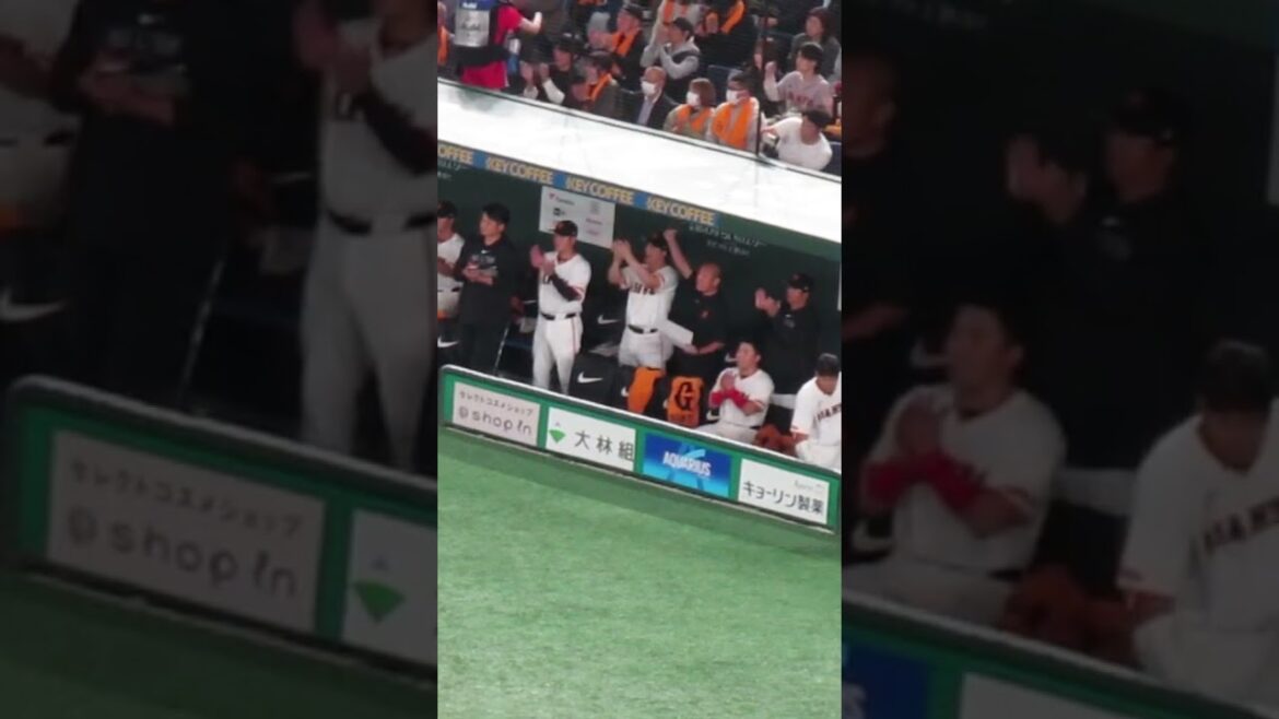 坂本勇人のヒットに喜ぶ巨人ベンチ 小林誠司たち2024年4月6日 読売ジャイアンツ対 横浜DeNAベイスターズ #小林誠司