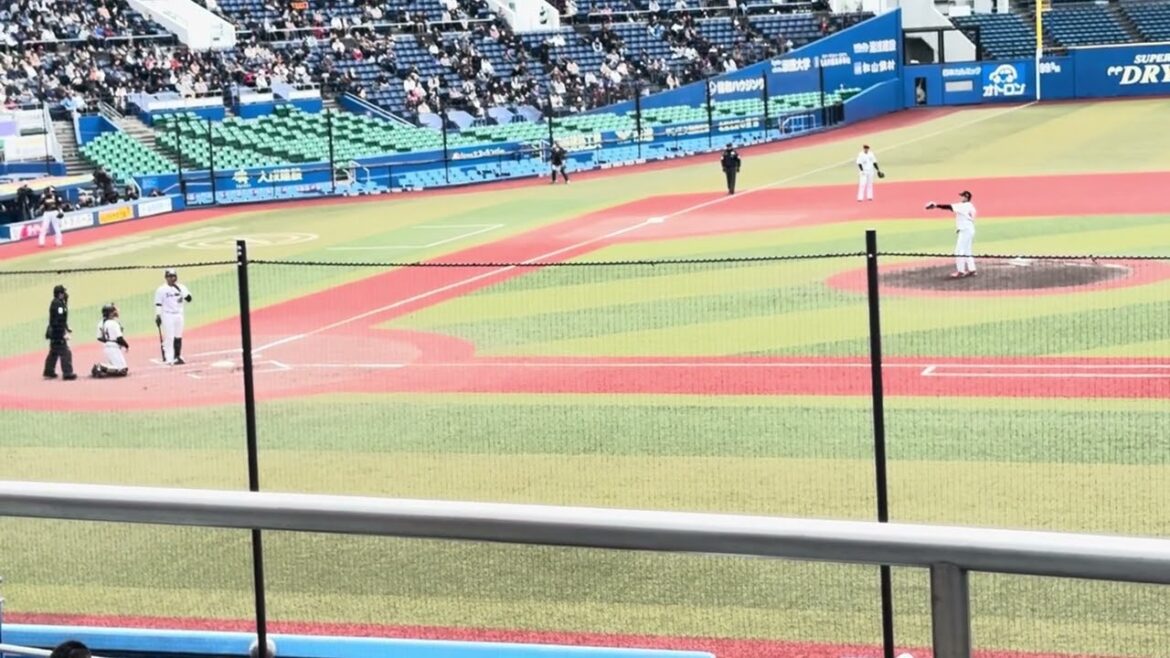 12球団合同トライアウト シート打撃『投手: 元楽天・菅原秀  打者: 元巨人・加藤脩平 & 元ヤクルト・ 西田明央』