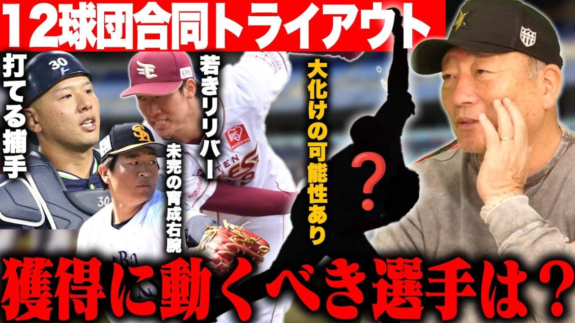 【12球団合同トライアウト】元巨人陽岱鋼ら45人が参加‼︎『この選手はまだ伸び代がある‼︎』高木豊が注目した8選手を発表します‼︎