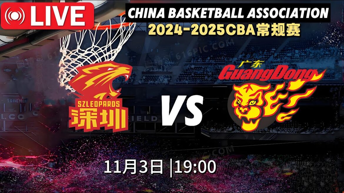 🔴cba直播| 广东东阳光 VS 深圳马可波罗 | Guangdong East Sunshine VS Shenzhen Marco Polo | 2K HD | 2024年11月3日