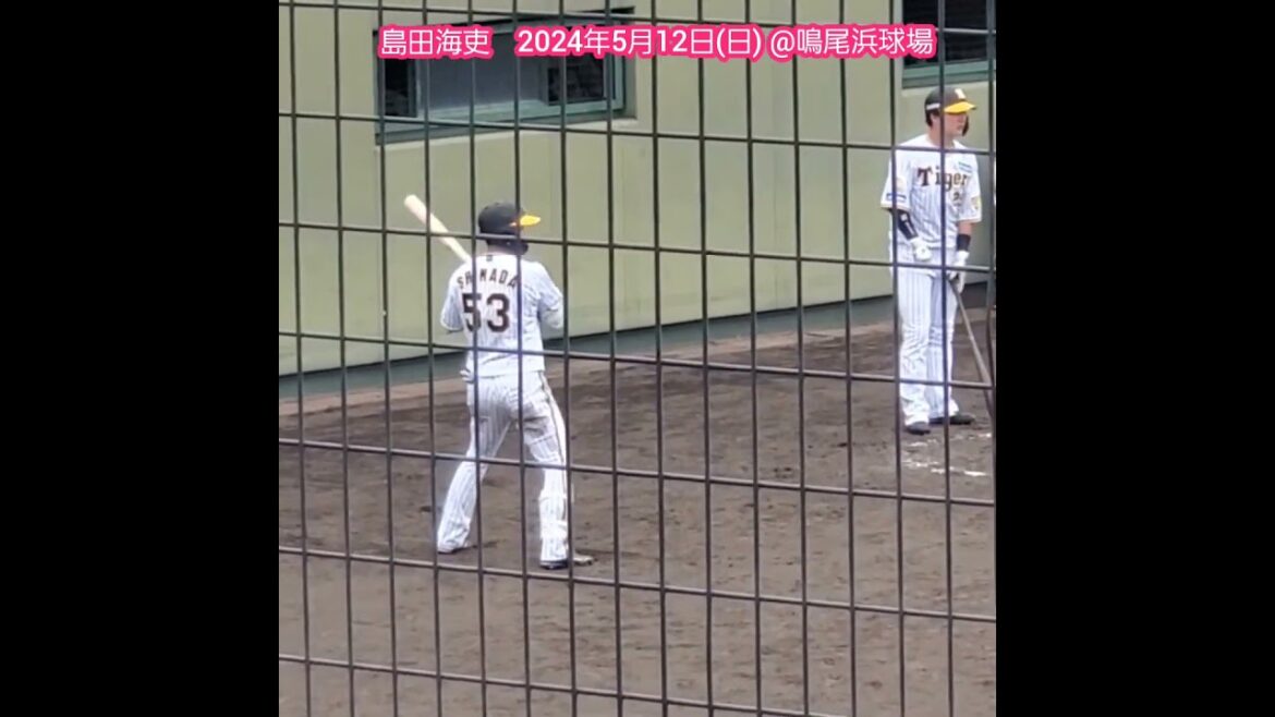 20240512　ﾈｸｽﾄﾊﾞｯﾀｰｽﾞｻｰｸﾙで準備する#島田海吏　#shorts　阪神ﾀｲｶﾞｰｽ2軍@阪神鳴尾浜球場［ｳｴｽﾀﾝ･ﾘｰｸﾞ 2軍戦］鳴尾浜