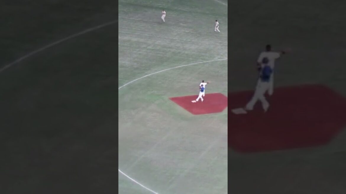 丸佳浩 ライトフライをギリギリ落とす2024年4月6日 読売ジャイアンツ対 横浜DeNAベイスターズ #丸佳浩