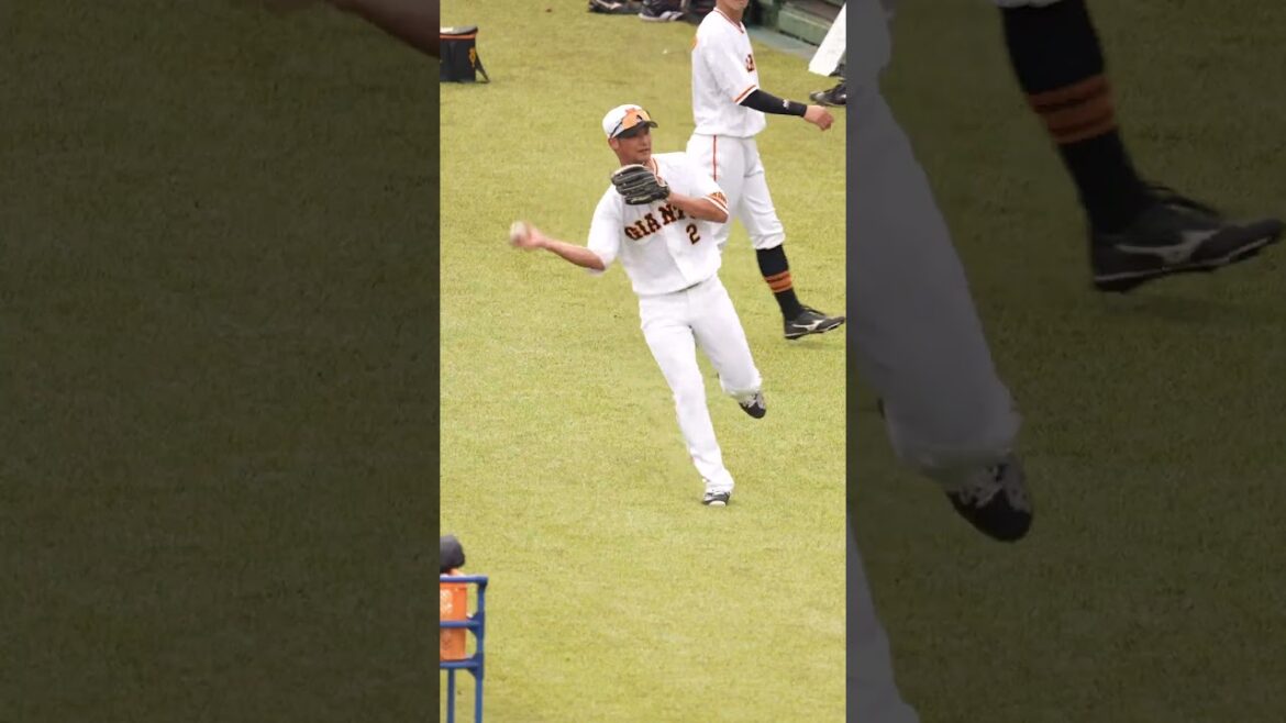 【巨人】吉川尚輝選手三井ゴールデン・グラブ賞の受賞者おめでとうございます！　#shorts #baseball #sports #ジャイアンツ #巨人 #プロ野球
