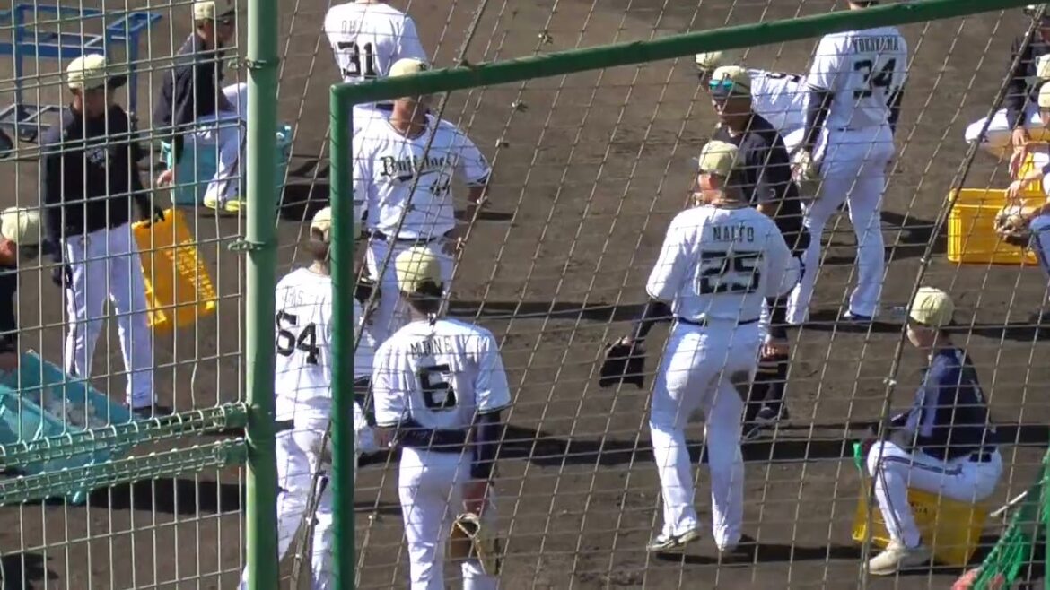 【プロ野球】2024.11.13　オリックス　秋季キャンプ　『野手　腰割り　ゴロ捕球』