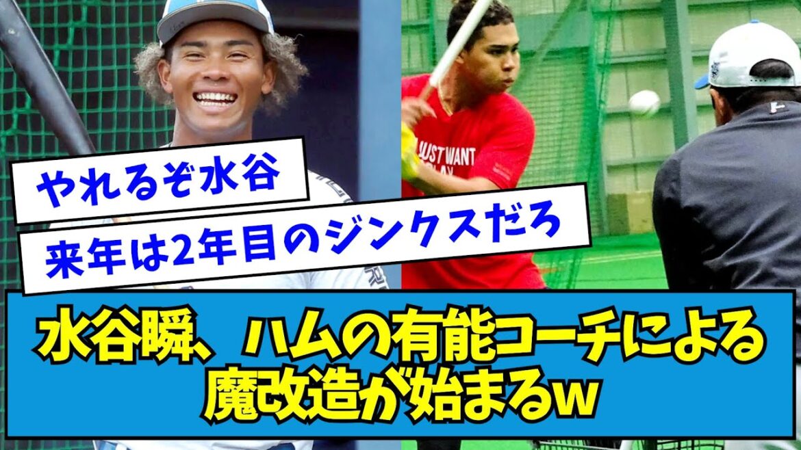 【覚醒確定】日ハム・水谷瞬、ハムの有能コーチによる魔改造が始まるwwwww【なんJ反応】