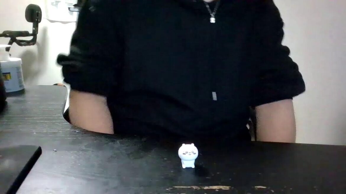 西野勇士、FA宣言せず残留正式発表という事で朝に引き続きちょろっと配信