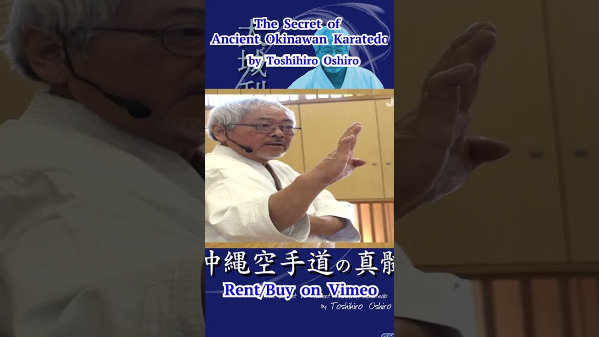 The Secret of Ancient #Okinawan #Karatedo by Toshihiro Oshiro #short #空手 #karate #CHAMP
