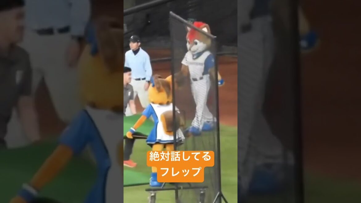 絶対スタッフと話してるフレップ　エスコンフィールド北海道日本ハムファイターズ秋季キャンプ　#エスコンフィールド北海道