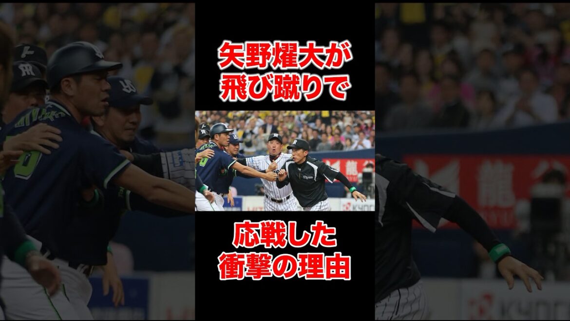 矢野燿大が飛び蹴りで応戦した衝撃の理由 #プロ野球 #野球解説 #野球乱闘 #shorts