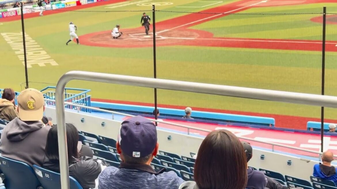 12球団合同トライアウト シート打撃『投手: 元巨人・笠島尚樹 打者: 元ライオンズ・鈴木将平 & 元ロッテ・菅野剛士 』 12球団合同トライアウト シート打撃『投手: 元巨人・笠島尚樹 打者: 元ライオンズ・鈴木将平 & 元ロッテ・菅野剛士 』