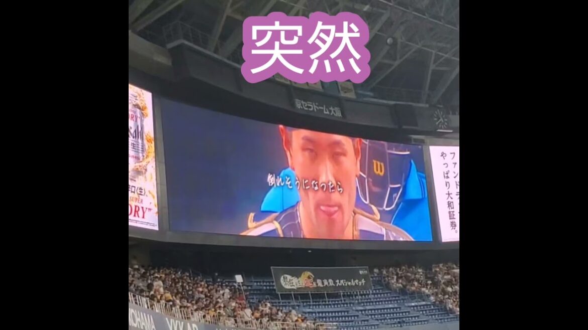 20240923　突然　ｵﾘｯｸｽ･ﾊﾞﾌｧﾛｰｽﾞ@京ｾﾗﾄﾞｰﾑ大阪･ﾚﾌﾄ外野下段