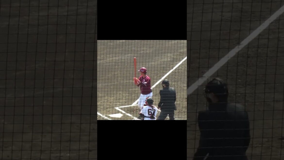 【楽天】渡邊佳明バッティングフォーム［ 読売ジャイアンツ対 東北楽天ゴールデンイーグルス 2024年3月16日］ #野球 #プロ野球